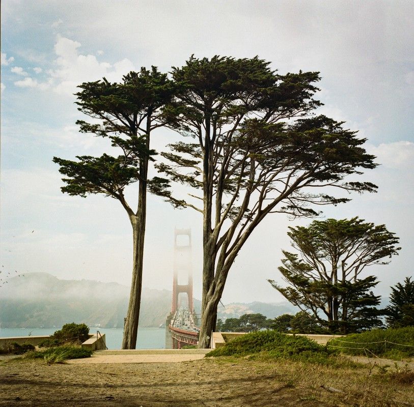 Brian Adler