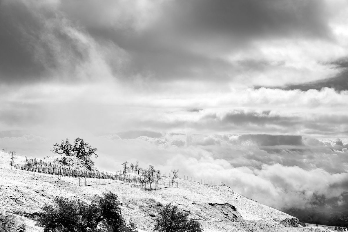 Mark Dawson
