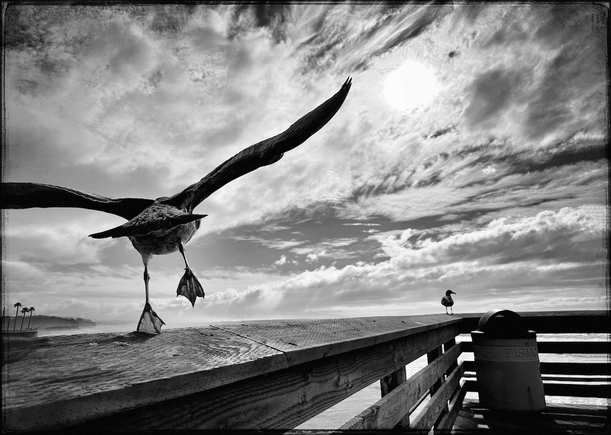 Mel Lindstrom