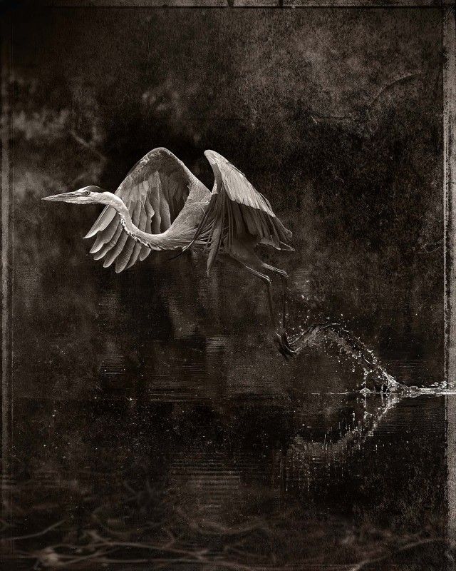 Robert Atkinson