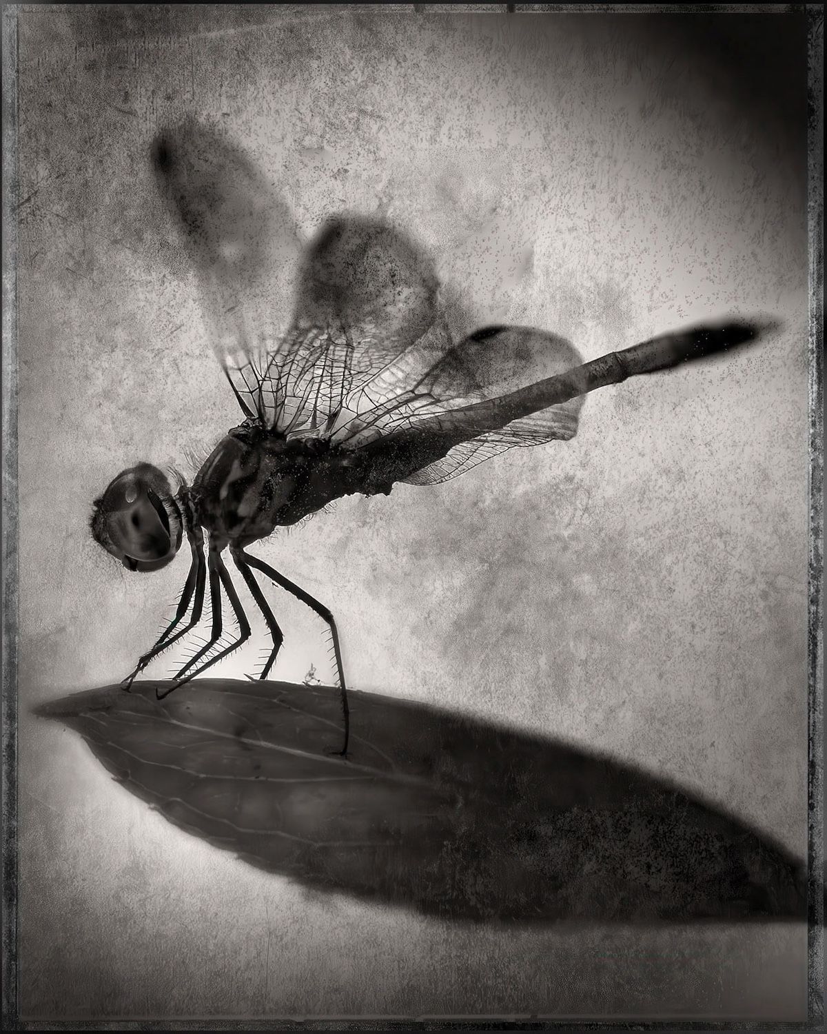 Robert Atkinson