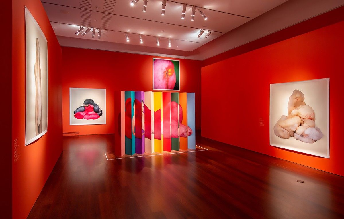 Polly Borland Installation