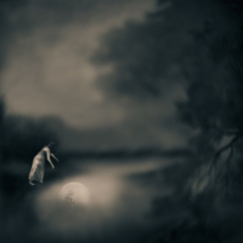 2014 APA SF Curator's Voice Exhibition First Place Winner - 