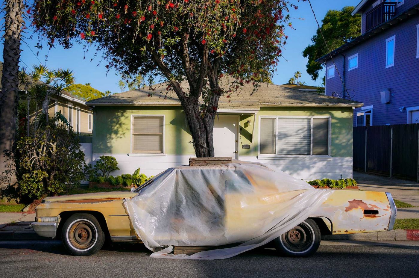 John Blais