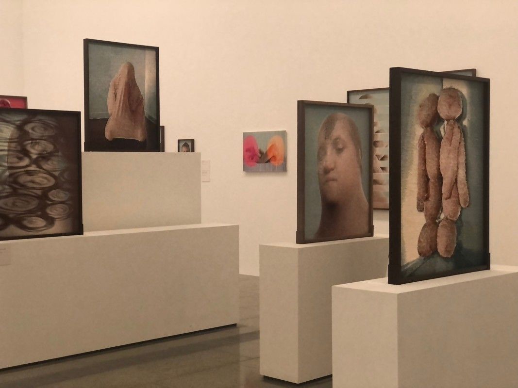 Polly Borland Installation