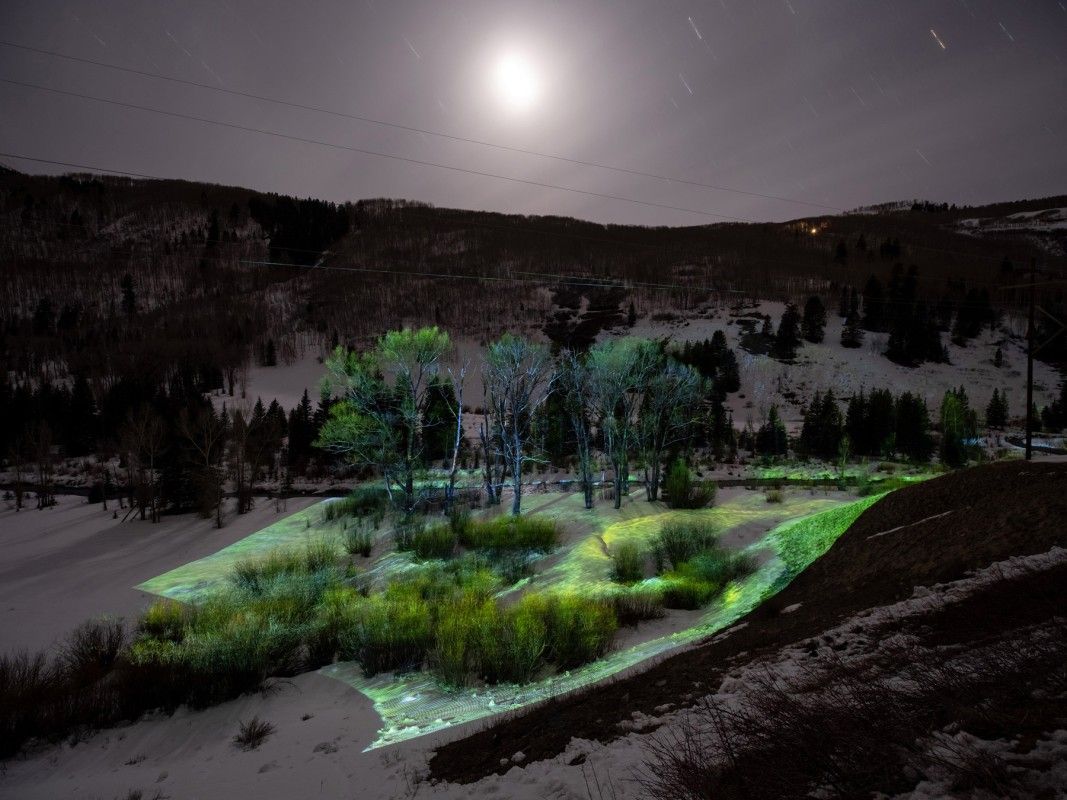 Philipp Scholz Rittermann