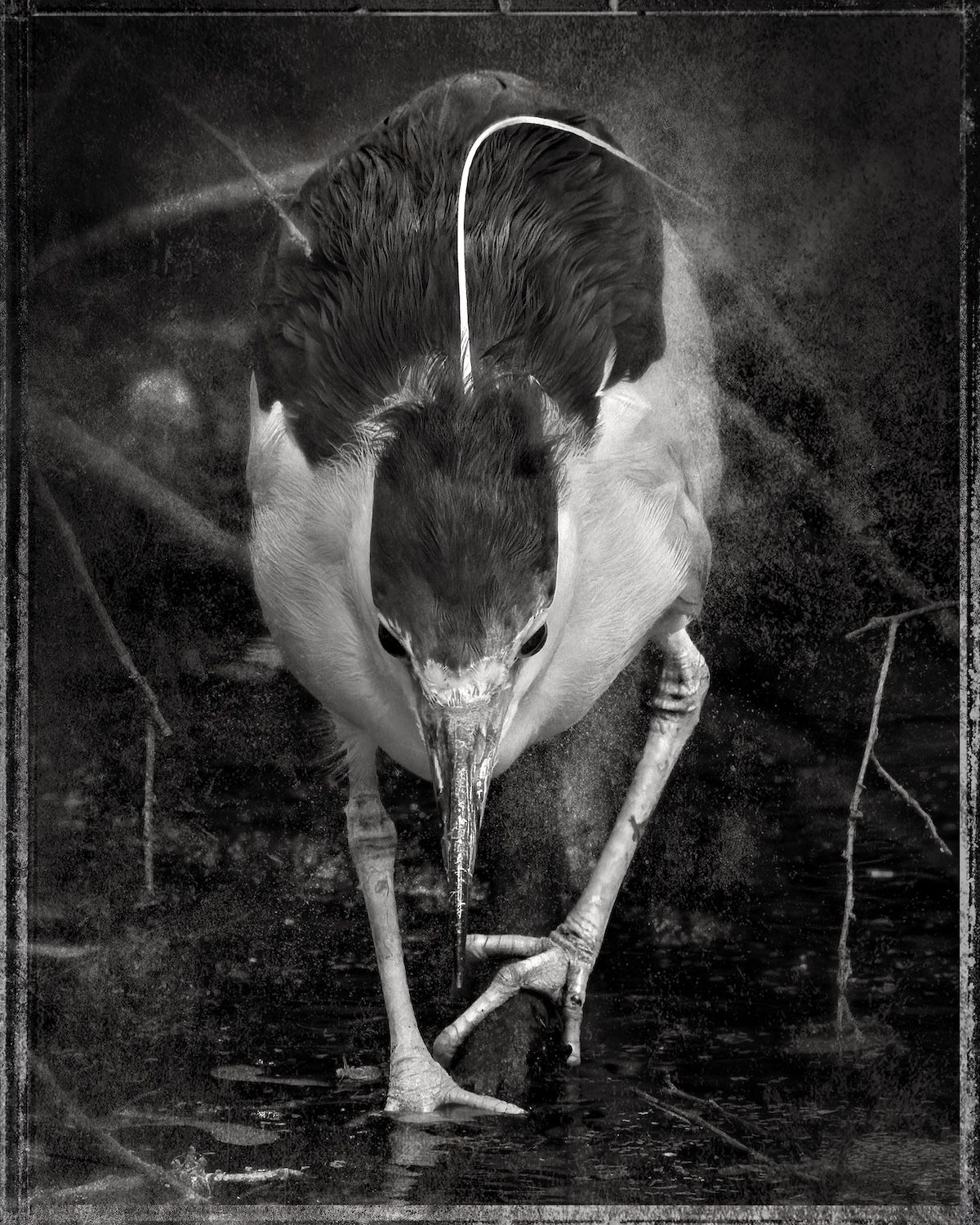 Robert David Atkinson