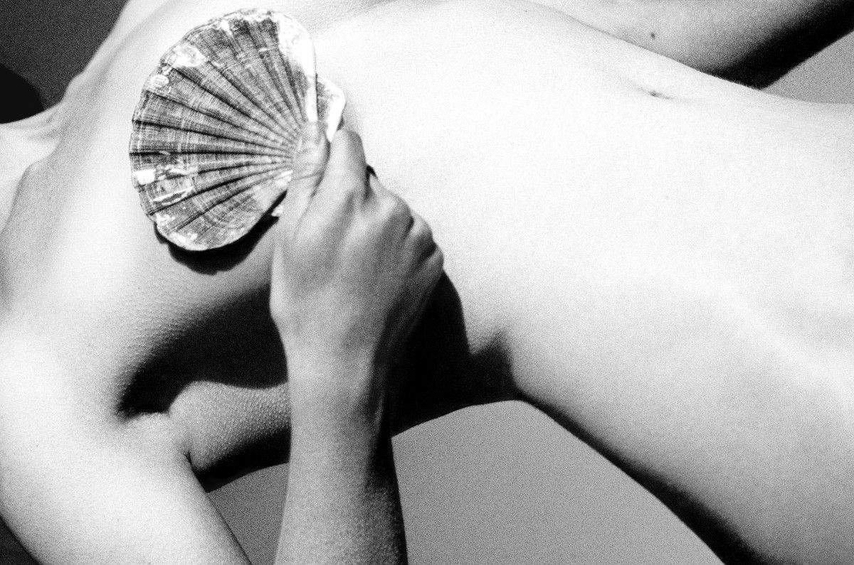 Lindsay Hamlyn/The Bardos