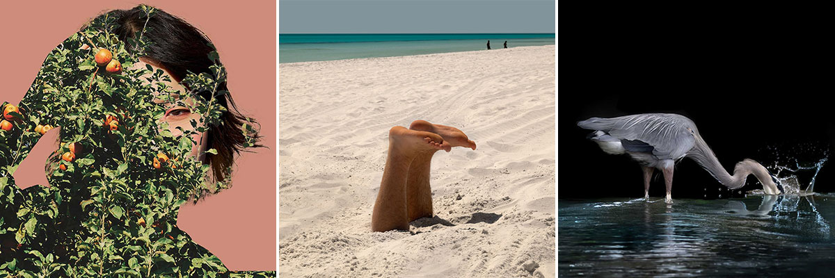 Three thumbnails of 2026 APA Awards, Conceptual/Altered category winners