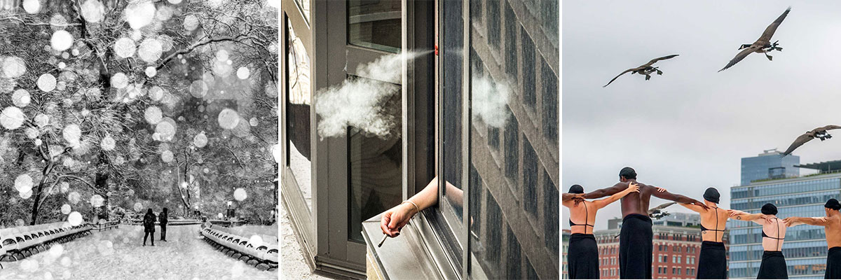Three thumbnails of 2026 APA Awards, Documentary/Street Photography category winners
