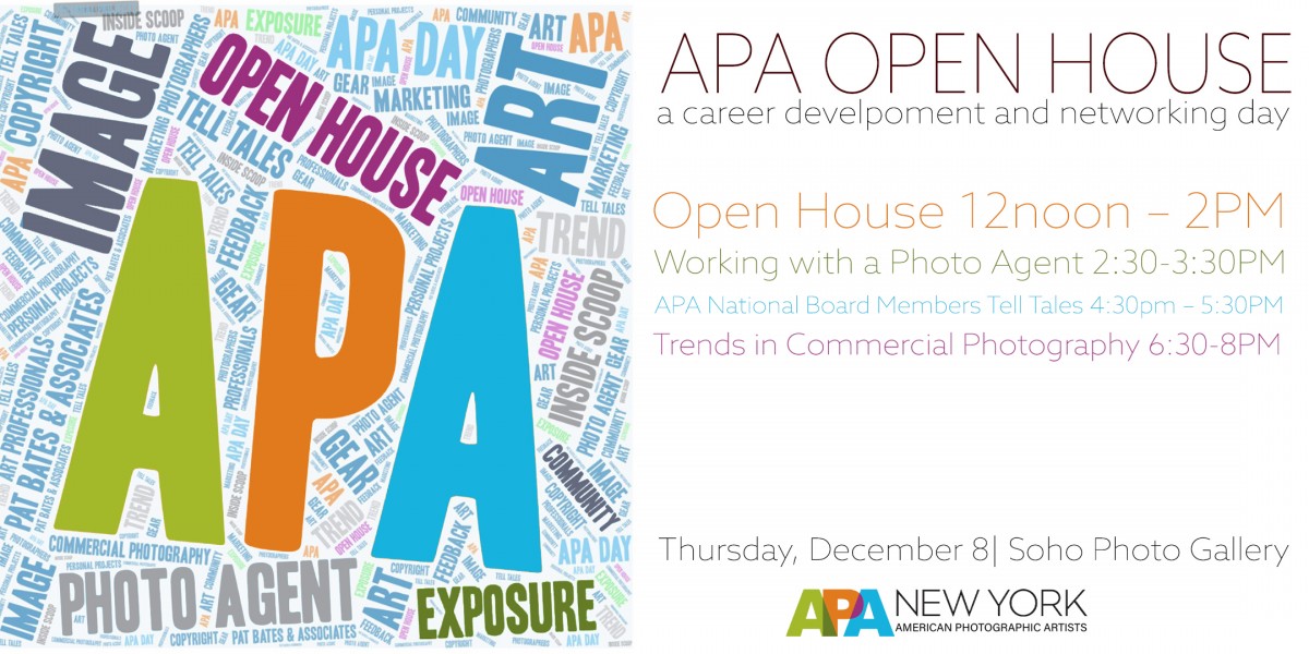 APA New York Career Development & Networking Day American