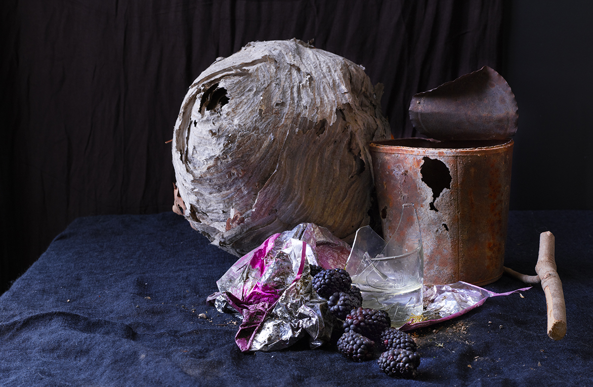 Laure Frankel's still lifes