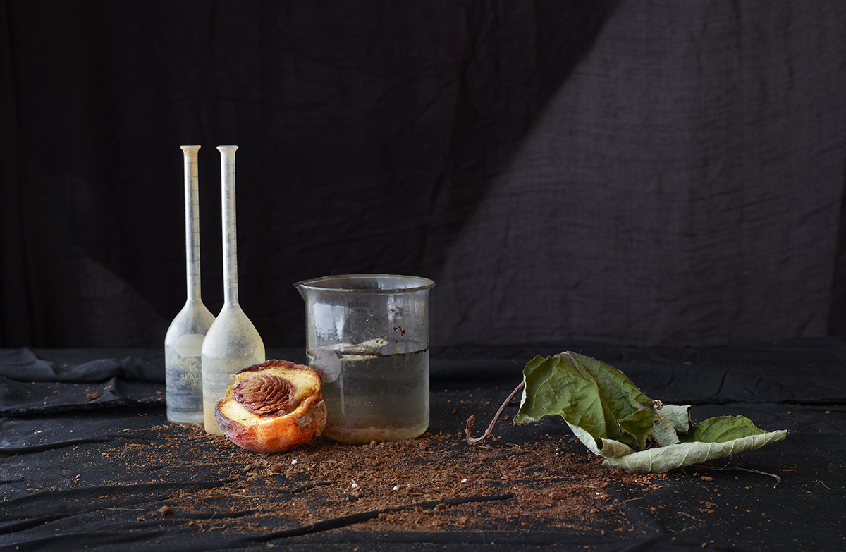 Laure Frankel's still lifes