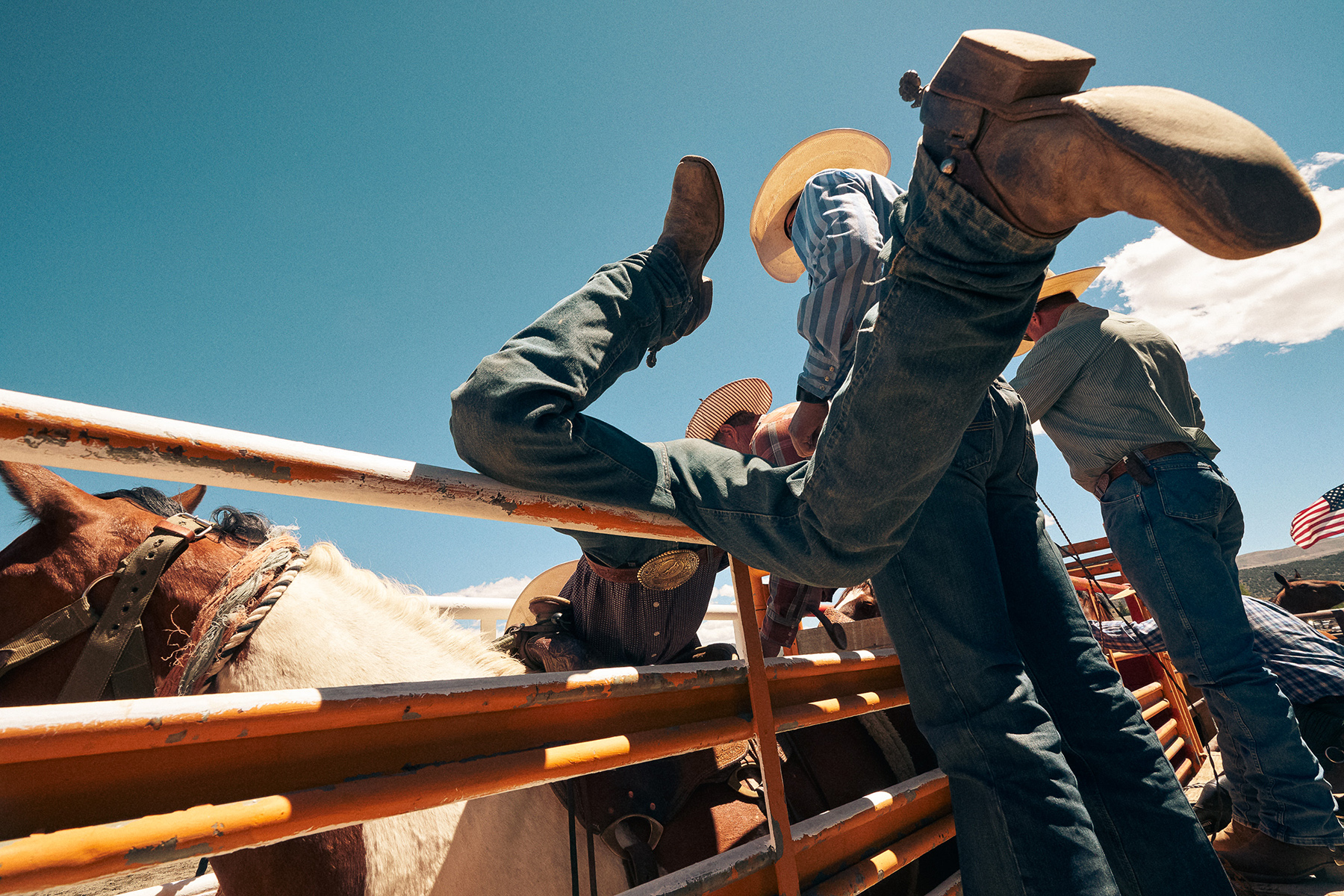 Cowboys trying to saddle a wild horse