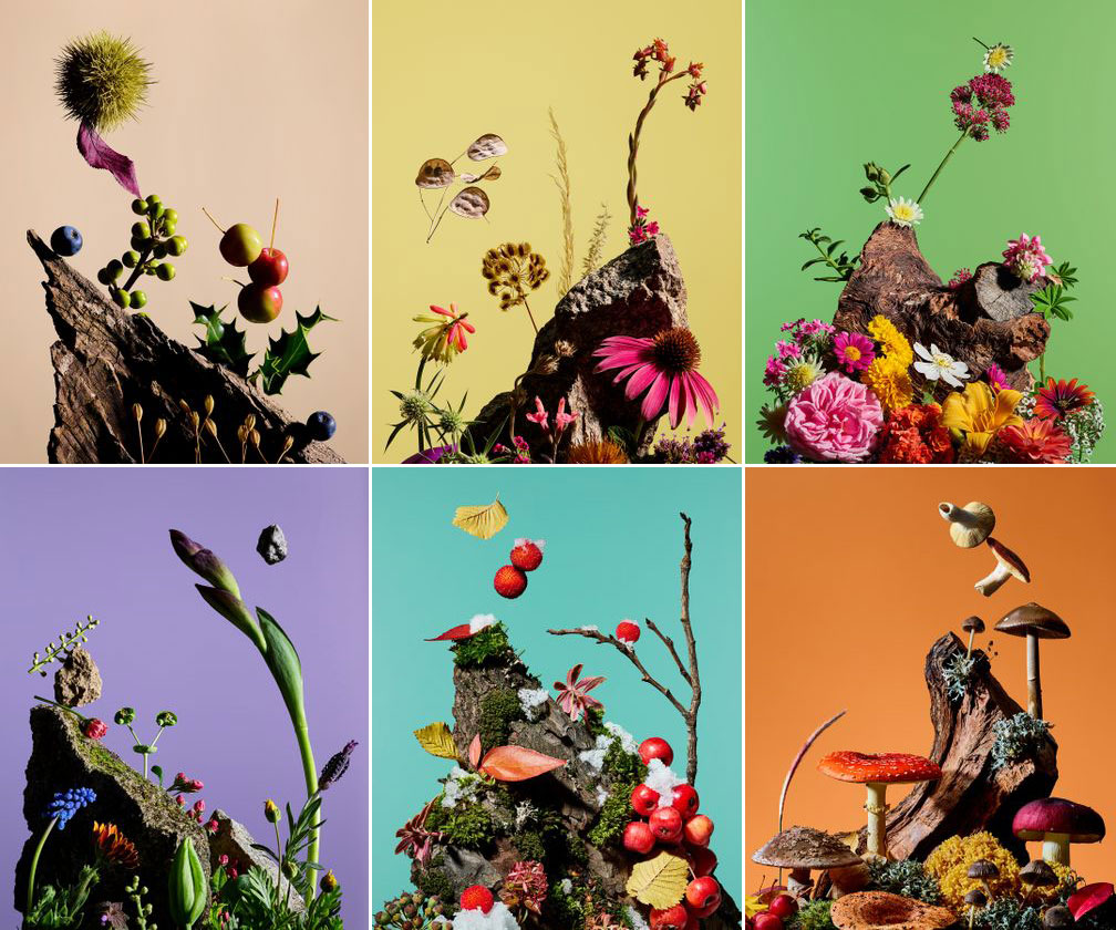 My Garden collage